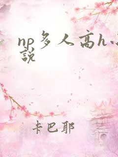 np多人高h小说