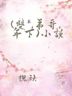 (双*,弟哥,年下)小说 (双*,弟哥,年下)小说