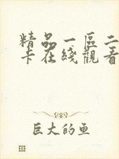 精品一区二区不卡在线观看