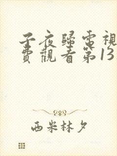 子夜归电视剧免费观看第13集