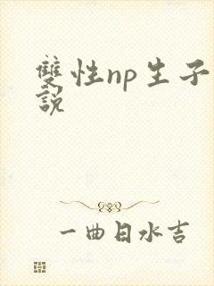 双性np生子小说