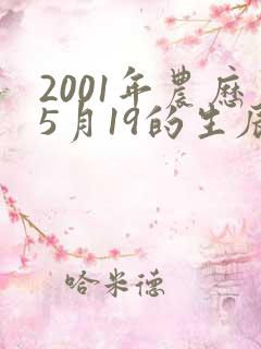 2001年农历5月19的生辰八字