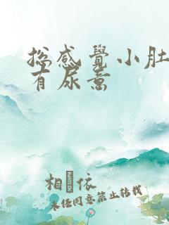 总感觉小肚子胀有尿意