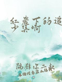 红岩下的追捕多少集啊