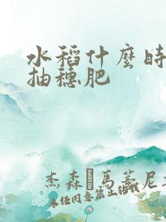 水稻什么时候撒抽穗肥