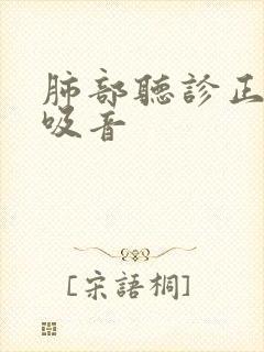 肺部听诊正常呼吸音