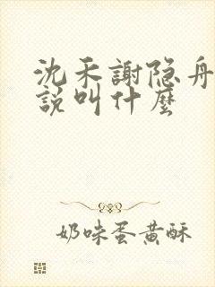 沈禾谢隐舟的小说叫什么