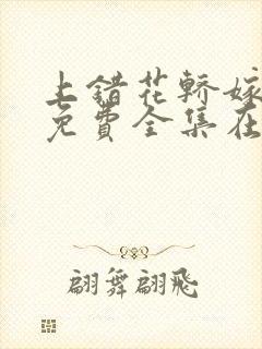 上错花轿嫁对郎免费全集在线播放高清