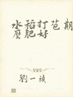 水稻打苞期用什么肥好