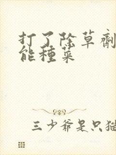打了除草剂多久能种菜