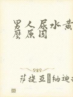 男人尿水黄是什么原因
