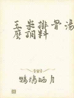 玉米排骨汤用什么调料