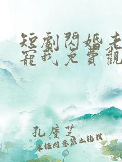 短剧闪婚老公超宠我免费观看