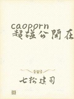 caoporn超碰公开在线