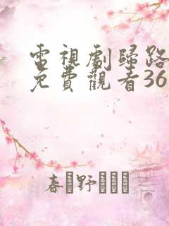 电视剧归路全集免费观看36集