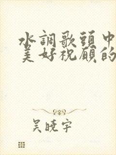 水调歌头中表达美好祝愿的句子是什么