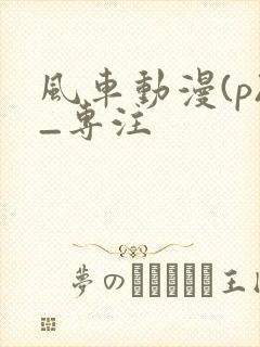 风车动漫(p)_专注