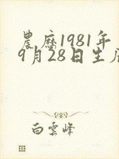 农历1981年9月28日生辰八字算命