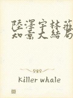 陆泽宇林薇薇沈知意大结局 陆泽宇林薇薇沈知意大结局