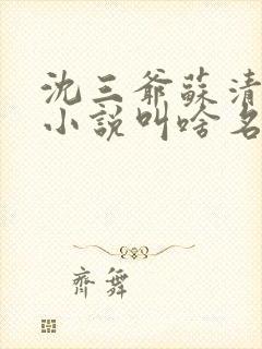 沈三爷苏清妤的小说叫啥名字