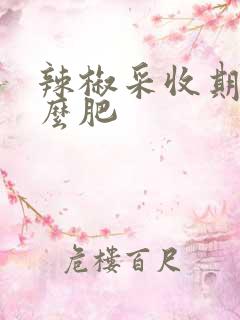 辣椒采收期施什么肥