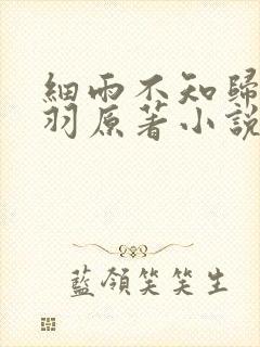 细雨不知归谢轻羽原著小说结局