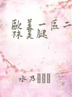 欧美一区二区丝袜美腿