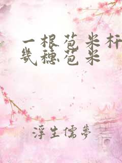 一根苞米杆能结几穗苞米
