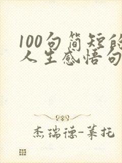 100句简短的人生感悟句子