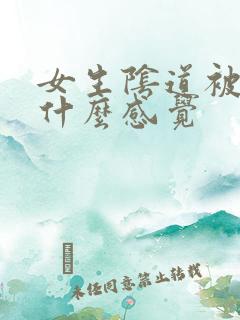 女生阴道被插是什么感觉