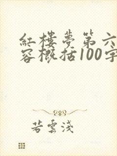 红楼梦第六回内容概括100字