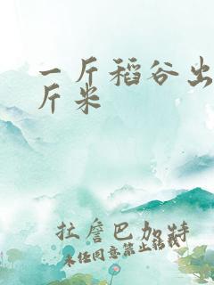 一斤稻谷出多少斤米