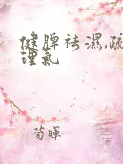 健脾祛湿,疏肝理气