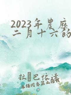 2023年农历二月十六的生辰八字