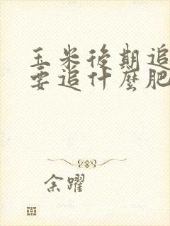 玉米后期追肥主要追什么肥
