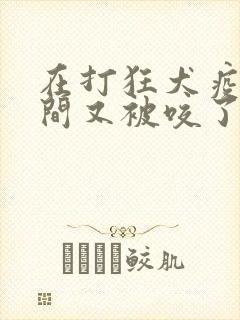 在打狂犬疫苗期间又被咬了怎么办