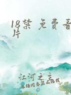 18禁 免费看片