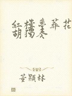 红楼梦葬花吟二胡独奏 红楼梦葬花吟二胡独奏
