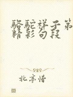 骆驼祥子第二章精彩句段
