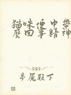 猫咪便中带血怎么回事精神很好