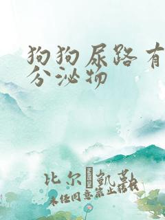 狗狗尿路有黄色分泌物