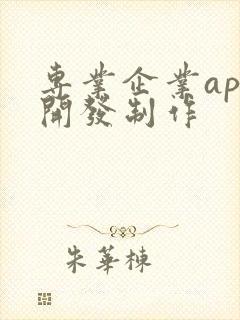 专业企业app开发制作