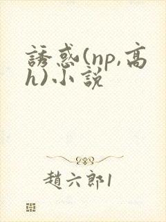 诱惑(np,高h)小说