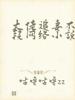 大佬追妻不择手段网络小说