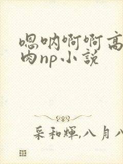 嗯呐啊啊高h纯肉np小说