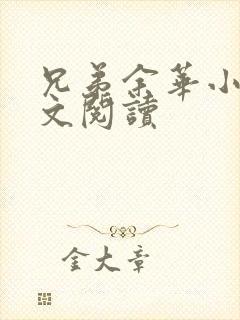 兄弟余华小说全文阅读