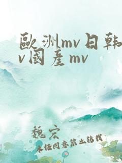 欧洲mv日韩mv国产mv