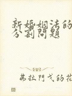 新婚姻法的财产分割问题