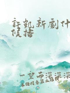 许凯新剧什么时候播