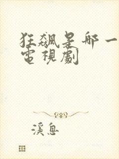 狂飙是哪一年的电视剧